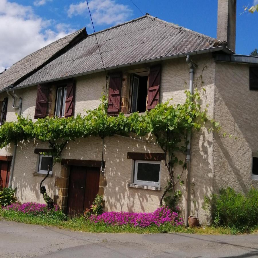 Maison Familiale Coteaux De La Vezere Voutezac Ngoại thất bức ảnh